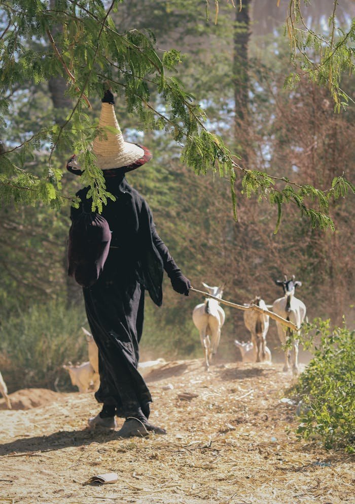 pexels photo 14561594.jpeg