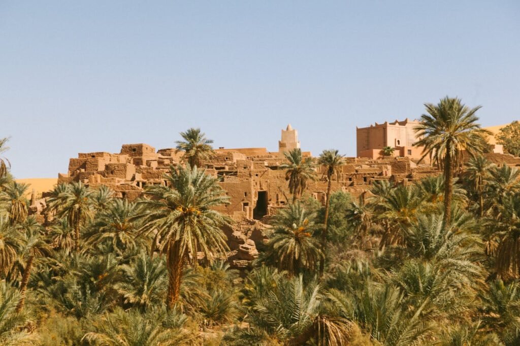 Explore ancient desert architecture surrounded by lush palm trees under a clear blue sky.